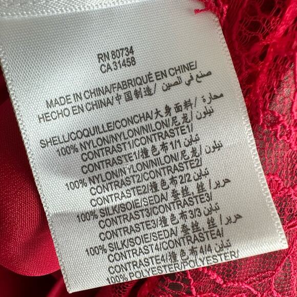 BCBGMAXAZRIA Runway Red Lace & Gray Mesh Ribbon Dress Limited Edition Size 2 NWT - Picture 7 of 10